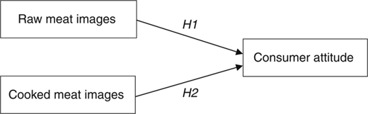 Figure 1 Refer to the image caption for details.