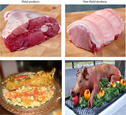 Figure 2 Refer to the image caption for details.