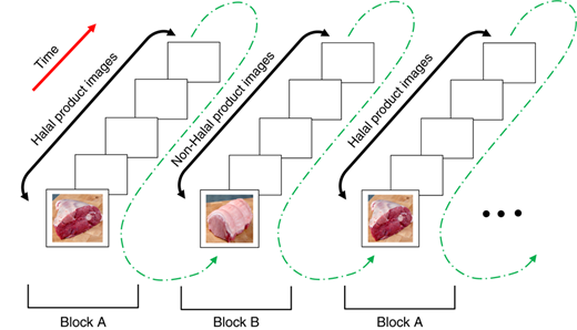 Figure 3 Refer to the image caption for details.