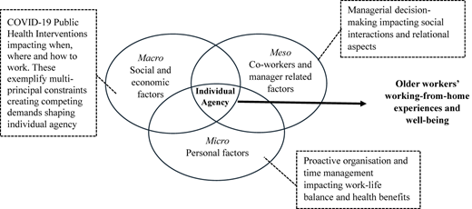 A conceptual Venn-style diagram shows macro, meso, and micro factors overlapping around individual agency.