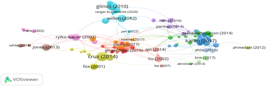 A V O S viewer author network map showing clustered citation links among researchers.