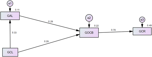 A diagram of a path model with labeled components and arrows indicating relationships.