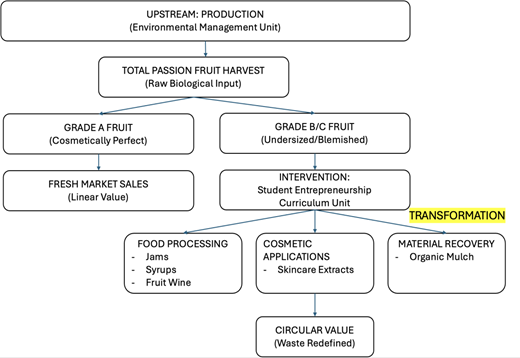 A flow diagram illustrates passion fruit grading, processing pathways, and circular value creation from upstream production.