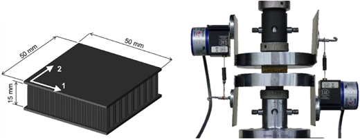 Figure 2 Refer to the image caption for details.