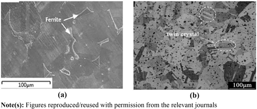 Figure 2 Refer to the image caption for details.