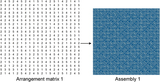 A schematic shows an arrangement matrix mapped into a patterned assembly image.