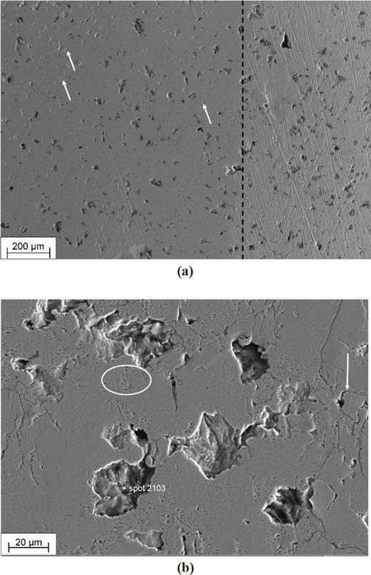(a) SEM image of the cast iron cylinder liner surface with a dashed line dividing the wear track (left) and the unworn surface (right) (white arrows indicate shallow pits) and (b) detail of some orange-peel-like roughening (encircled region), pits and cracks (white arrow) in the worn surface Refer to the image caption for details.
