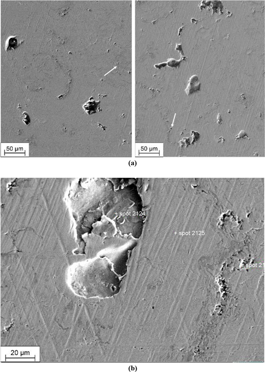 (a) SEM image of the wear track (left) and an unworn surface region (right) of the PTWA-coated cylinder liner surface (the white arrows indicate pre-existing pores in both areas) and (b) detail of the tribosurface showing a pre-existing pit and some micropores Refer to the image caption for details.