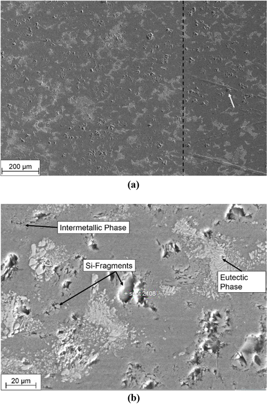 (a) SEM image of the AlSi cylinder liner surface with a dashed line dividing the wear track (left) and the unworn surface (right) (white arrow points out a typical break-out with lateral dimensions up to 30 µm) and (b) detail of the worn surface showing intermetallic phases, Si fragments and eutectic phases Refer to the image caption for details.