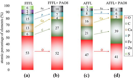 Figure 2 Refer to the image caption for details.