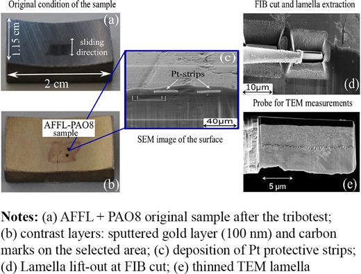 Figure 3 Refer to the image caption for details.
