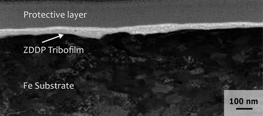 Figure 2 Refer to the image caption for details.