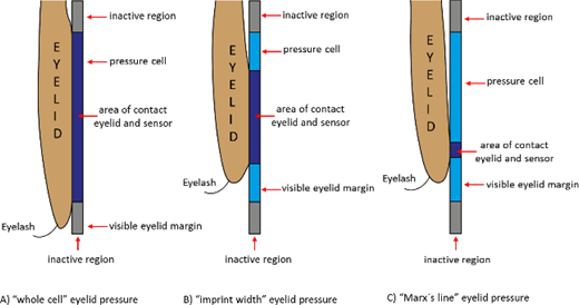 Figure 1 Refer to the image caption for details.