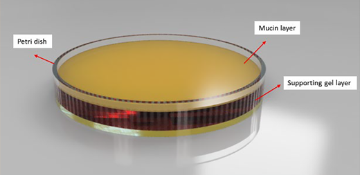 Figure 2 Refer to the image caption for details.