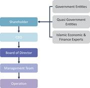 A flowchart links shareholder groups to the C E O, board of director, management team and operation.