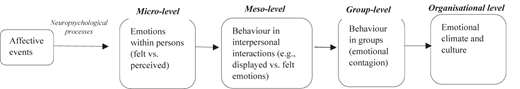 Multi-level emotional atmosphere within organisations.