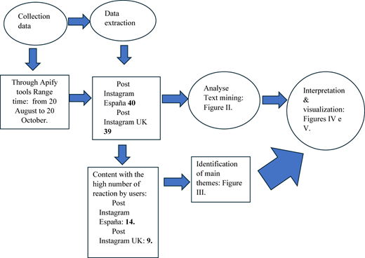 A flowchart showing steps from data collection to extraction, text mining, theme identification, and visualization.