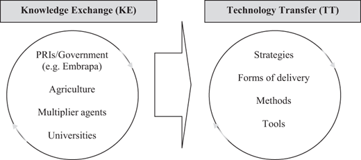 Figure 2. Refer to the image caption for details.