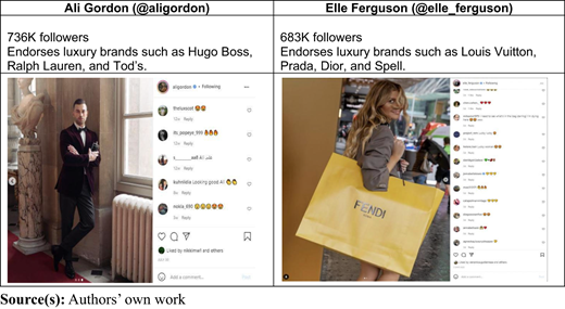 A table showing two influencers, Ali Gordon and Elle Ferguson, with follower counts and endorsed luxury brands.