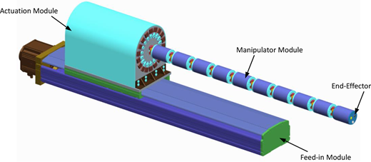 Figure 1 Refer to the image caption for details.