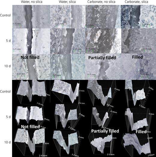 Figure 2. Refer to the image caption for details.