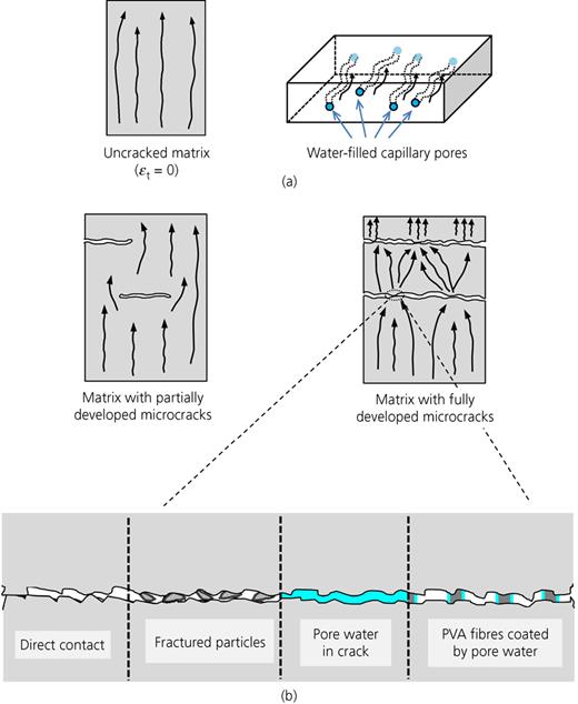 Figure 6. Refer to the image caption for details.