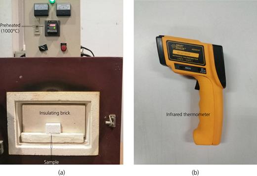 Figure 2. Refer to the image caption for details.