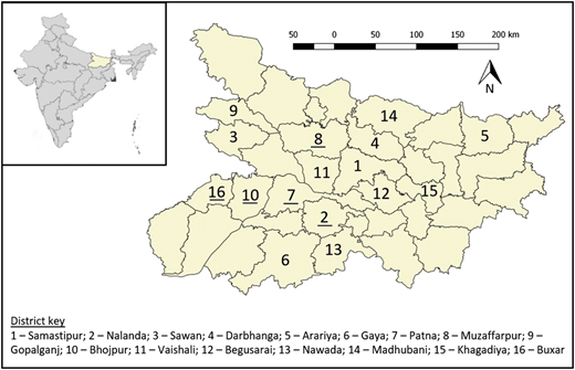 Figure 1 Refer to the image caption for details.