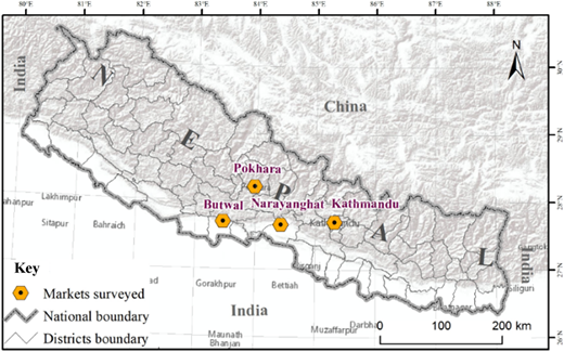 Figure 1 Refer to the image caption for details.