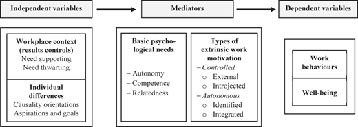 A flowchart shows independent variables, mediators, and dependent variables linking workplace context to well-being.