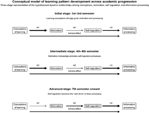 A flowchart illustrating the conceptual model of learning pattern development across academic progression.