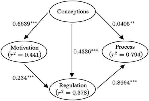A diagram representing the relationships between conceptions, motivation, process, and regulation.