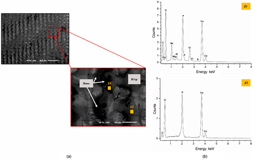 Figure 12. Refer to the image caption for details.