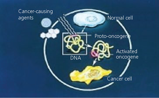 Figure 2 Refer to the image caption for details.