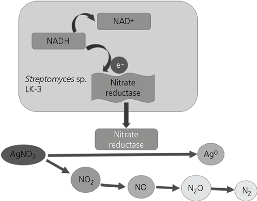 Figure 5 Refer to the image caption for details.