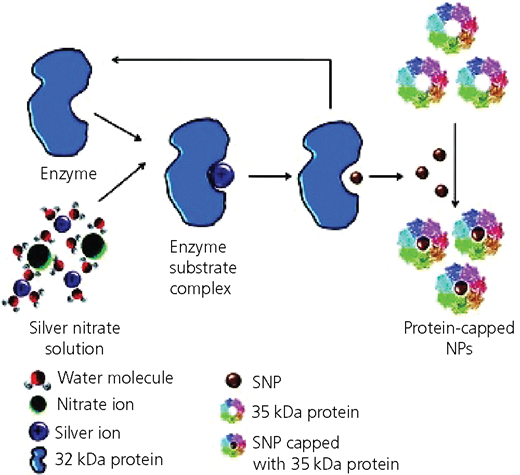 Figure 6 Refer to the image caption for details.