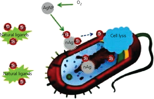 Figure 7 Refer to the image caption for details.