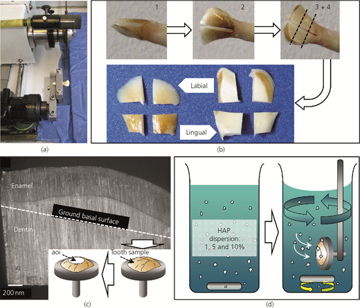 Figure 1 Refer to the image caption for details.