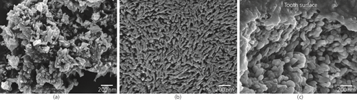 Figure 2 Refer to the image caption for details.