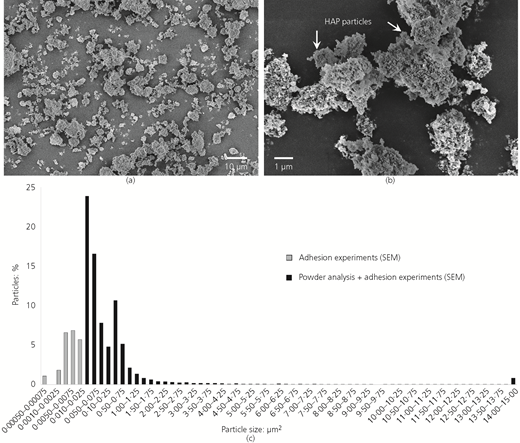 Figure 3 Refer to the image caption for details.