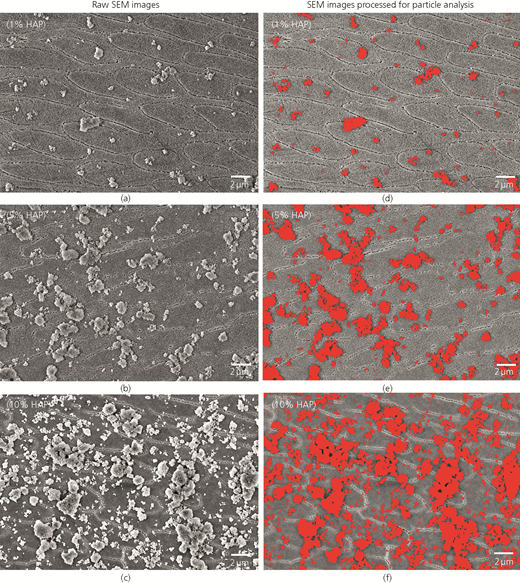 Figure 5 Refer to the image caption for details.