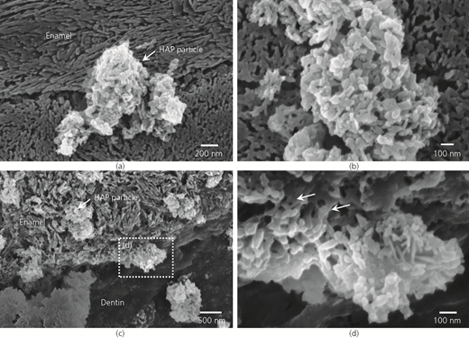 Figure 7 Refer to the image caption for details.