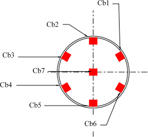A circular cross-section shows eight sensor positions labelled C b 1 to C b 7 arranged around the perimeter and centre.