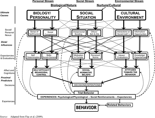 Diagram illustrating the theory of triadic influence on behavior, showing interconnected streams of biology or personality, social situation, and cultural environment.