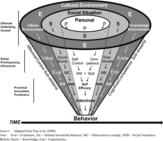 Diagram showing the theory of triadic ecological system.