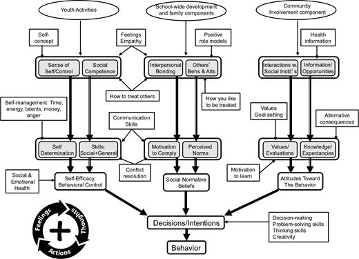 Diagram mapping positive action program to theory of triadic influence.