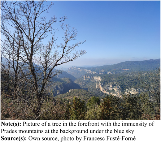 A photograph shows a tree in the foreground with the Prades mountains extending into the distance under a clear blue sky.