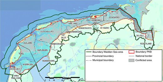 Figure 1 Refer to the image caption for details.