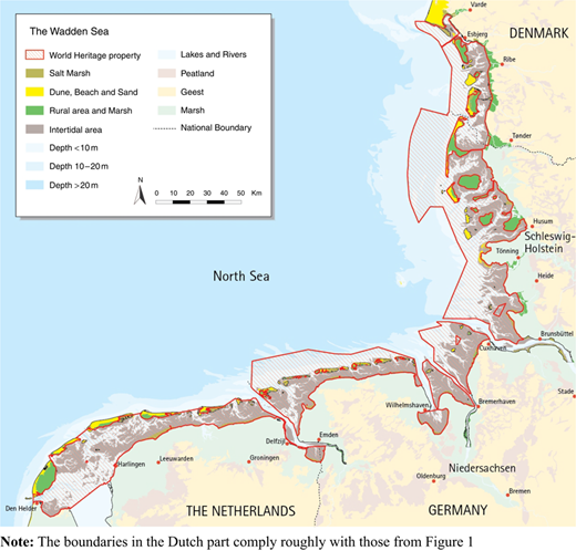 Figure 2 Refer to the image caption for details.