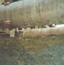 Graphic. Refer to the image caption for details.